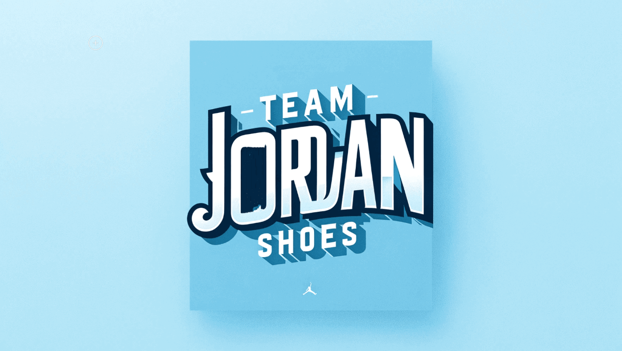 team jordan shoes price